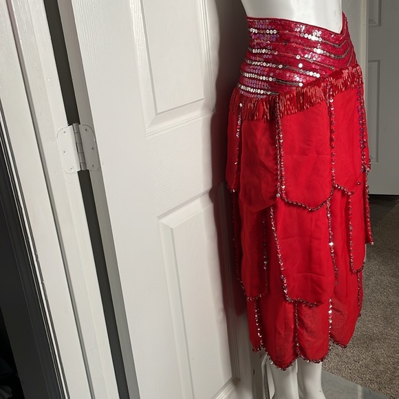 Vintage Sequin beaded fringe Skirt - Picture 6 of 12